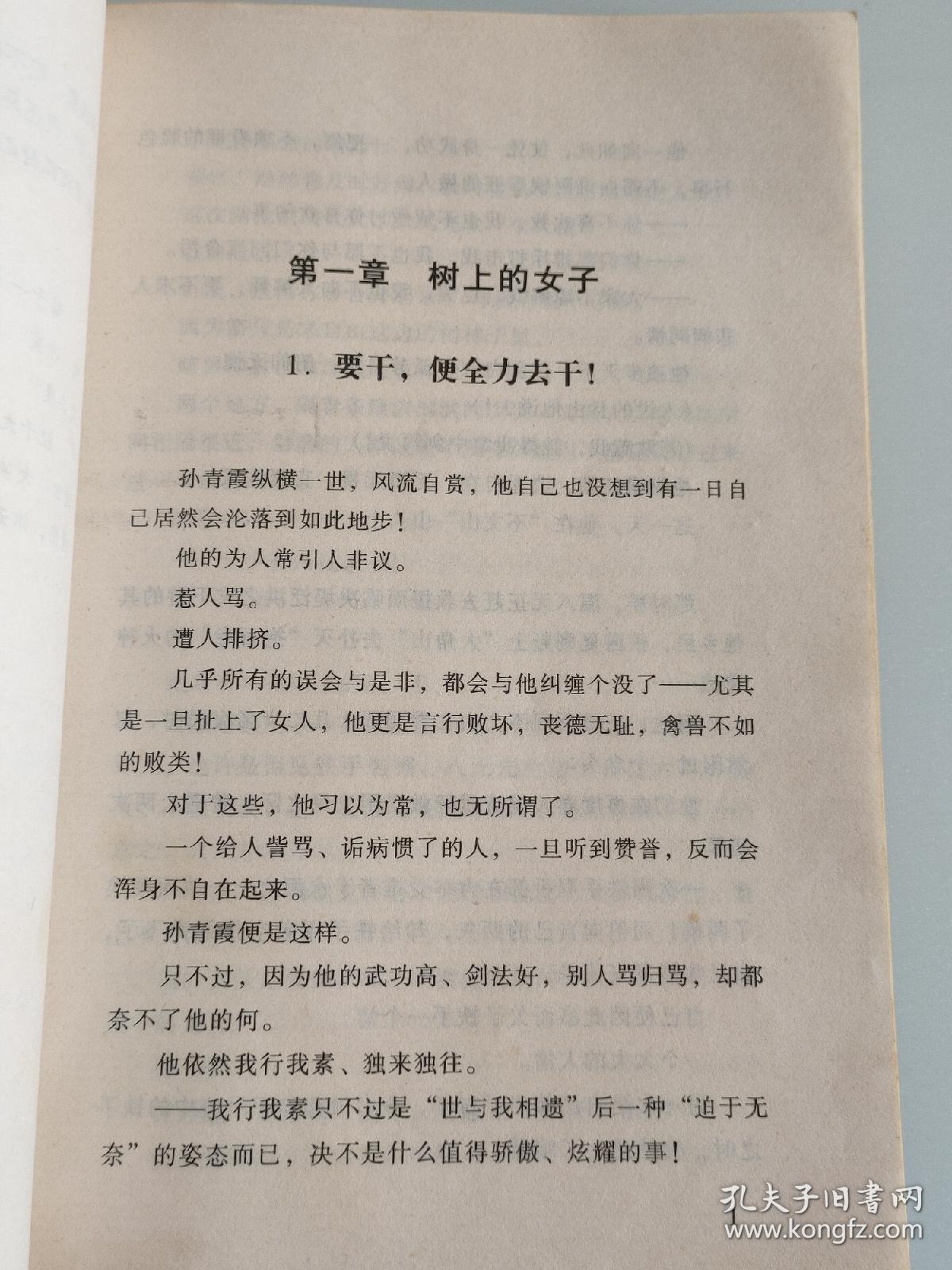 四大名捕小说txt下载(四大名捕小说完整版百度云)