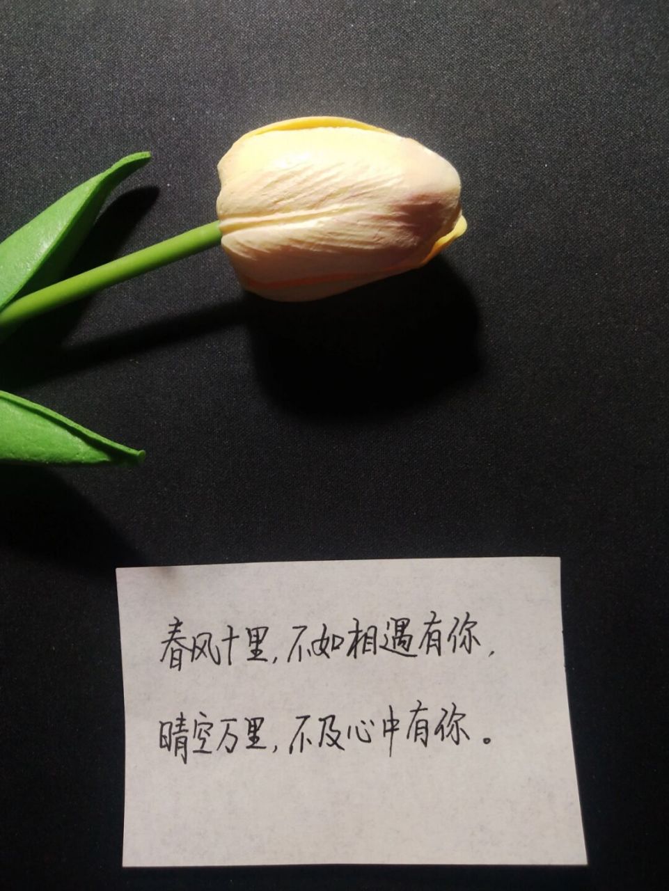 余生漫漫不相见全文免费阅读-余生漫漫不相见全文免费阅读无弹窗