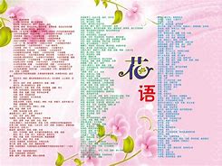 都市花语txt全集下载-都市花语小说 1080p 下载