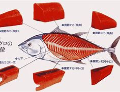 包含肉文txt下载的词条
